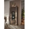 Vitrine 1 porte CRONOS BRONZE MERCURE