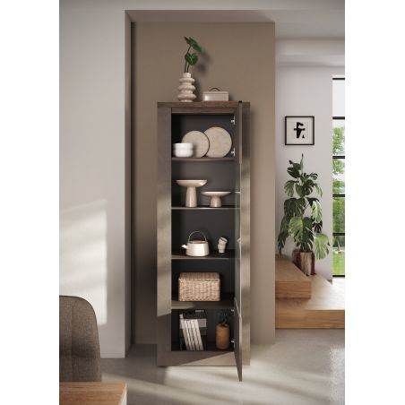Vitrine 1 porte CRONOS BRONZE MERCURE