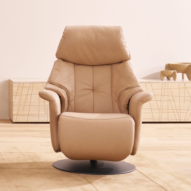Fauteuil relax électrique 1 moteur EASYSWING 7417 en cuir 22 Pale de la marque HIMOLLA