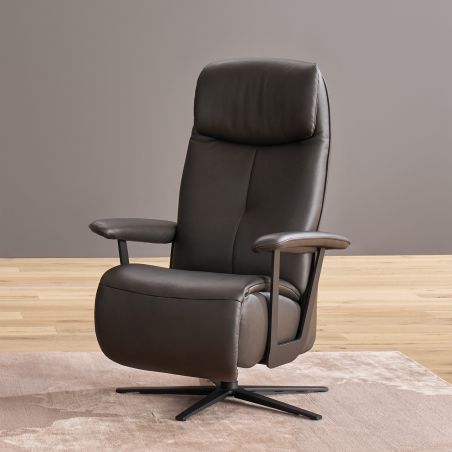 Fauteuil relax électrique releveur 2 moteurs EASYSWING 7357 en cuir 35 Onyx de la marque HIMOLLA