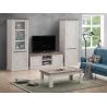 Meuble TV 157 cm CALINE avec 2 portes et 2 niches en décor bicolore