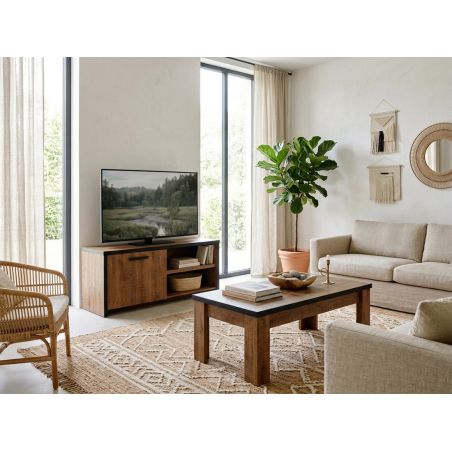 Meuble TV DIEGO de style industriel avec 1 porte et 2 niches ouvertes