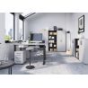 Caisson de bureau 4251 PRADES en coloris gris clair et graphite