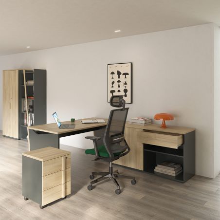 Crédence 1 tiroir 1 porte ITALIC proposé en 2 finitions