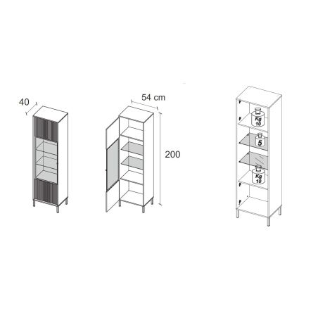 Vitrine 1 porte DENZEL avec éclairage LED inclus
