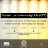 Lucide SANTIAGO - Plafonnier - Ø 23 cm - LED Dim. - CCT - 1x10W 2700K/4000K - Ambre - Premium