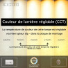 Lucide SANTIAGO - Applique murale - Ø 23 cm - LED Dim. - CCT - 1x10W 2700K/4000K - Ambre - Premium