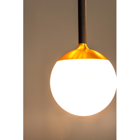 Lucide CALINA - Suspension - Ø 9,9 cm - LED Dim. - CCT - 1x7W 2200K/3300K - Avec module LED remplaçable - Noir - Premium