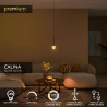Lucide CALINA - Suspension - Ø 9,9 cm - LED Dim. - CCT - 1x7W 2200K/3300K - Avec module LED remplaçable - Café - Premium