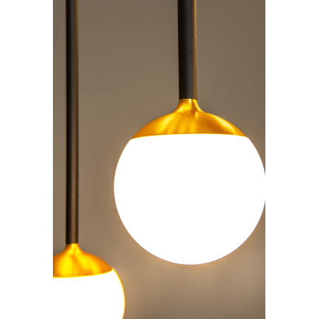 Lucide CALINA - Suspension - LED Dim. - CCT - 12x7W 2200K/3300K - Avec module LED remplaçable - Noir - Premium