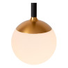 Lucide CALINA - Suspension - LED Dim. - CCT - 12x7W 2200K/3300K - Avec module LED remplaçable - Noir - Premium