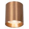 Lucide STRAXX - Spot plafond - Ø 8 cm - LED Dim. - CCT - 1x15W 2700K/4000K - Champagne Couleur - Premium