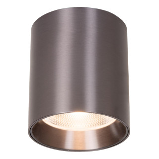 Lucide STRAXX - Spot plafond - Ø 8 cm - LED Dim. - CCT - 1x15W 2700K/4000K - Canon Fusil Mat - Premium