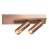 Lucide BIXX - Spot plafond - LED Dim. - CCT - 2x8W 2700K/4000K - Champagne Couleur - Premium