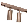 Lucide Premium LINIAL BIXX Spot sur rail - Smart - 48V Track - 2xLED - Champagne