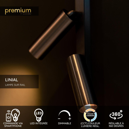 Lucide Premium LINIAL BIXX Spot sur rail - Smart - 48V Track - 2xLED - Canon Fusil Mat