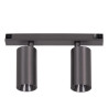Lucide Premium LINIAL BIXX Spot sur rail - Smart - 48V Track - 2xLED - Canon Fusil Mat