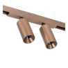 Lucide Premium LINIAL MOXX Spot sur rail - Smart - 48V Track - 2xLED - Champagne