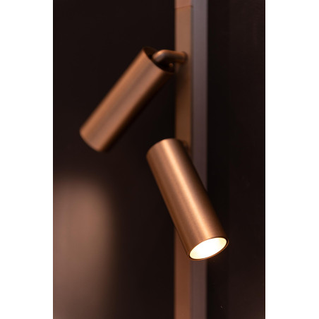 Lucide Premium LINIAL MOXX Spot sur rail - Smart - 48V Track - 2xLED - Champagne