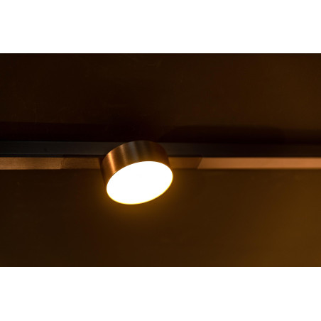 Lucide Premium LINIAL FIXT Spot sur rail - Smart - 48V Track - 1xLED - Champagne