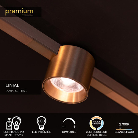 Lucide Premium LINIAL LUX Spot sur rail - Smart - 48V Track - 1xLED - Champagne