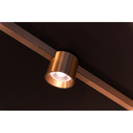 Lucide Premium LINIAL LUX Spot sur rail - Smart - 48V Track - 1xLED - Champagne
