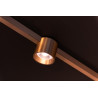 Lucide Premium LINIAL LUX Spot sur rail - Smart - 48V Track - 1xLED - Champagne