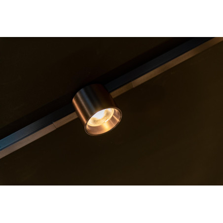Lucide Premium LINIAL LUX Spot sur rail - Smart - 48V Track - 1xLED - Canon Fusil Mat