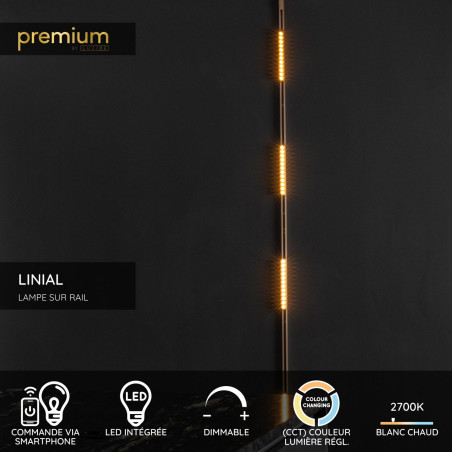 Lucide Premium LINIAL XENIAI Spot sur rail - Smart - 48V Track - LED - Champagne