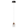 Lucide BERLIANE - Suspension - Ø 12 cm - LED Dim. - 1x4W 2700K - Avec module LED remplaçable - Transparent - Essential
