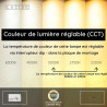 Lucide BANNISTER - Applique murale - LED Dim. - CCT - 2x7W 2200K/3000K - Aspect bois - Vibes