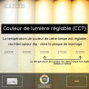 Lucide BANNISTER - Applique murale - LED Dim. - CCT - 2x7W 2200K/3000K - Bois clair - Vibes