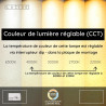 Lucide FELSTED - Suspension - LED Dim. - CCT - 1x28W 2200K/4000K - Noir - Vibes