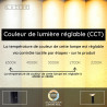 Lucide JIVE - Lampe de table Rechargeable Intérieur/Extérieur - Batterie/Piles - Ø 13,7 cm - LED Dim. - CCT - 1x3W 2800K/6500K