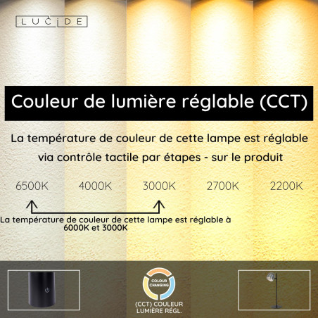 Lucide SKANSKA RECH - Lampe de bureau Rechargeable Intérieur/Extérieur - - L 21 x P 16 x H 46 cm - Fer gris / Noir