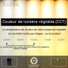 Lucide SKANSKA RECH - Lampe de bureau Rechargeable Intérieur/Extérieur - - L 21 x P 16 x H 46 cm - Fer gris / Noir