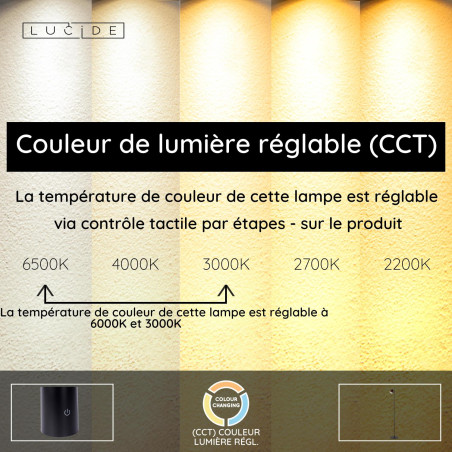 Lucide SKANSKA RECH - Lampadaire Rechargeable Intérieur/Extérieur - Batterie/Piles - Ø 23 cm - LED - H 137 cm - Café / Noir