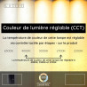 Lucide ORTOLAN - Lampadaire - LED Dim. - CCT - 2700K/4000K - Noir - Essential
