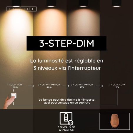 Lucide COLIN IP44 - Lampe de table Rechargeable Intérieur/Extérieur - Batterie/Piles - LED 3 StepDim - 1x3W 3000K - IP44 -