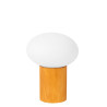Lucide BIRTLE - Lampe de table - 1xG9 - Opalin - L 15 x P 15 x H 23 cm
