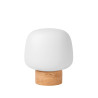 Lucide ANSTON - Lampe de table - 1xE14 - Opalin