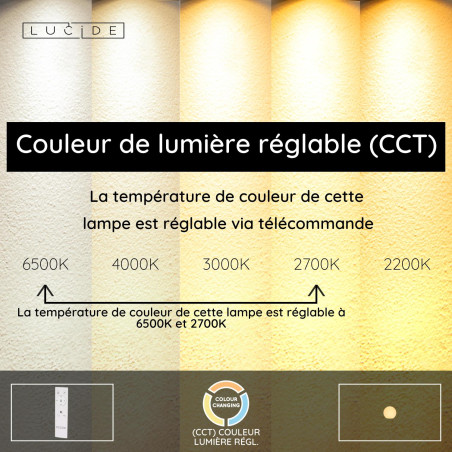 Lucide PINO - Lampe de table Rechargeable Intérieur/Extérieur - Batterie/Piles - LED Dim. - CCT - 1x1,5W 2700K/6500K - IP65 -