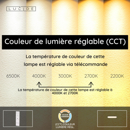 Lucide ELLY - Plafonnier - LED Dim. - CCT - 1x24W 2700K/4000K - Opalin - Essential