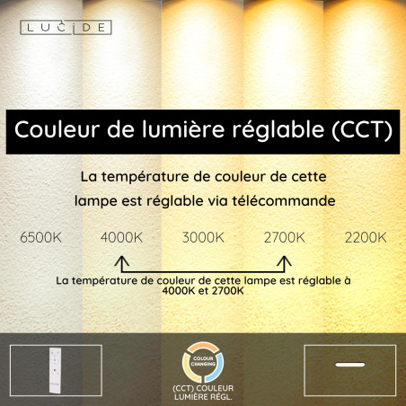 Lucide ELLY - Plafonnier - LED Dim. - CCT - 1x36W 2700K/4000K - Opalin - Essential
