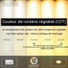 Lucide RINUS - Plafonnier Salle de bains - Ø 40 cm - LED - CCT - 1x24W 2200K/3000K - IP44 - Opalin - Essential