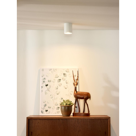 Lucide BODI - Spot plafond - Ø 8 cm - 1xGU10 (MR16) - Blanc