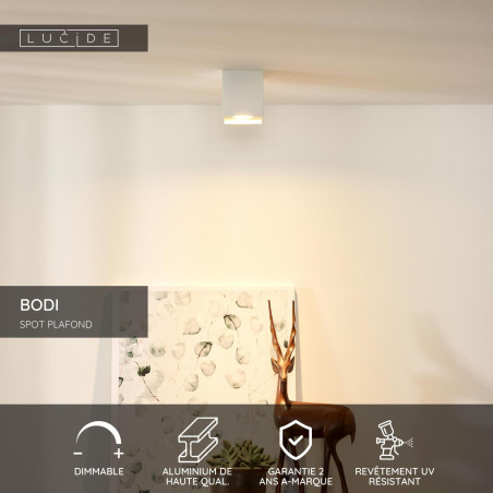 Lucide BODI - Spot plafond - 1xGU10 (MR16) - Blanc