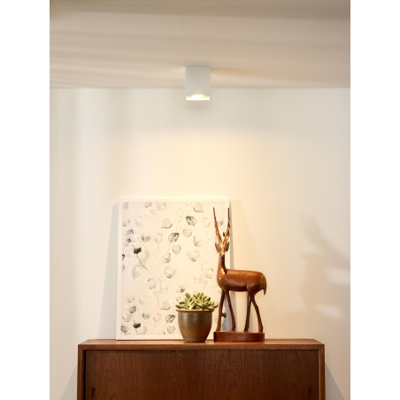 Lucide BODI - Spot plafond - 1xGU10 (MR16) - Blanc