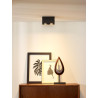 Lucide BODI - Spot plafond - 2xGU10 (MR16) - Noir