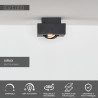 Lucide XIRAX - Spot plafond - LED Dim to warm - GU10 (MR16) - 1x5W 2200K/3000K - Noir